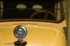 IMG_9480_DxO_raw.jpg
