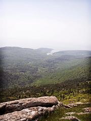IMG_9504_DxO_raw.jpg