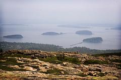 IMG_9528_DxO_raw.jpg