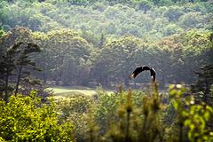 IMG_9636_DxO_raw.jpg