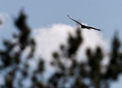 IMG_9772_DxO_raw.jpg