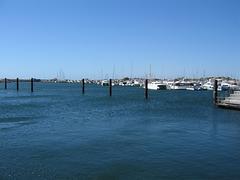 IMG_0339.jpg