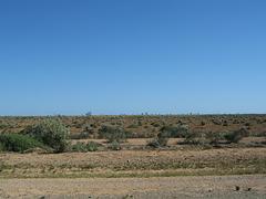 IMG_0363.jpg