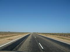 IMG_0366.jpg