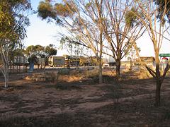 IMG_0371.jpg