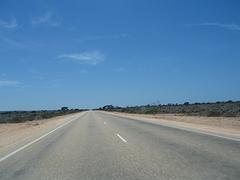IMG_0380.jpg