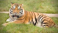 IMG_3627p.jpg